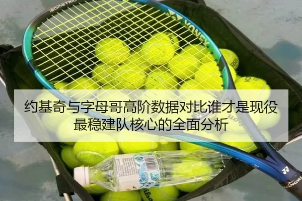 约基奇与字母哥高阶数据对比谁才是现役最稳建队核心的全面分析
