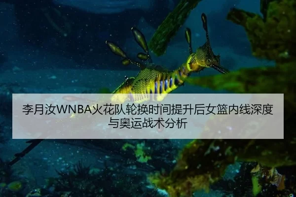 李月汝WNBA火花队轮换时间提升后女篮内线深度与奥运战术分析